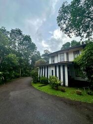 Thomson Road (D11), Detached #498337141